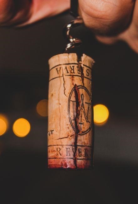 idiot’s guide to wine